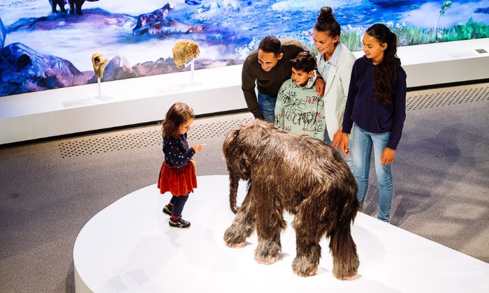 Taucht im Neanderthal Museum in die Zeit der Steinzeit ein. © Neandterhal Museum